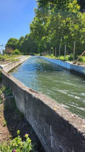Canal de riego de la red de la ACL